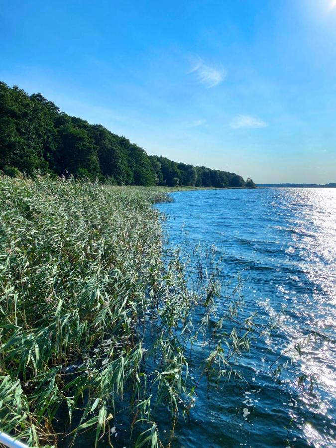 Ferienwohnung In Der Uckermark Am Oberuckersee Ot Warnitz Экстерьер фото